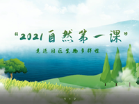 点亮生活|走进园区生物多样性　争做有责任感的小公民——记东沙湖小学全国科普日系列活动