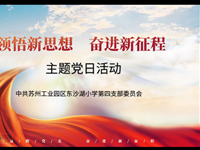 领悟新思想 奋进新征程 ——东沙湖小学第四党支部12月主题活动