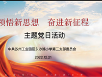 “领悟新思想，奋进新征程”12月主题党日活动