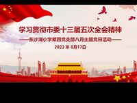 学习贯彻市委十三届五次全会精神　——东沙湖小学第四党支部八月主题党日活动