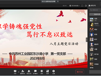以学铸魂强党性　笃行不怠以致远 ——记苏州工业园区东沙湖小学第一党支部八月主题党日活动