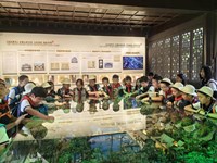 踏成长之路　 启学思之旅