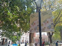 【美·常展】“图有意・意吉祥” 传统文化的校园之光