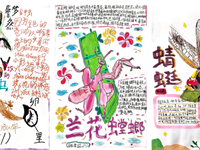 【美·常展】童趣盎然 “虫”现精彩